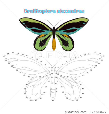Educational game connect dots to draw butterfly Educational game connect dots to draw butterfly 123783627