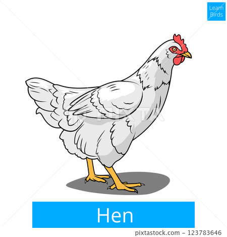 Hen learn birds educational game vector Hen learn birds educational game vector 123783646