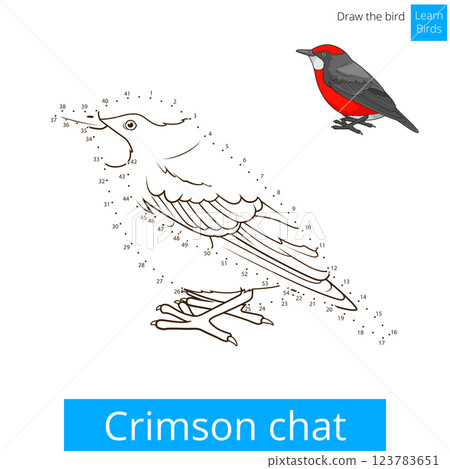 Crimson chat bird learn to draw vector 123783651