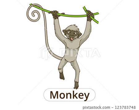 Monkey cartoon vector illustration Monkey cartoon vector illustration 123783748