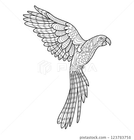 Parrot coloring book for adults vector 123783758