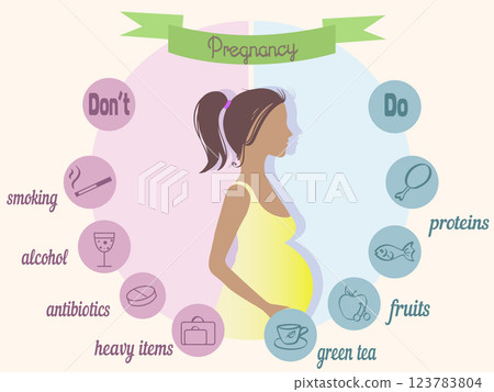 Pregnancy trimester infographic Pregnancy trimester infographic 123783804
