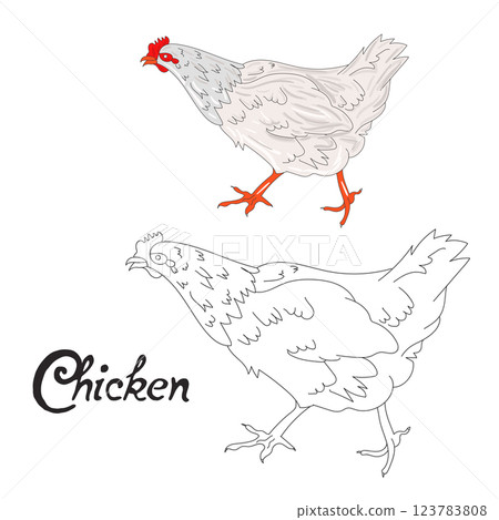 Educational game coloring book hen bird vector 123783808