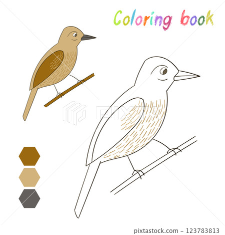 Coloring book bird xenops kids layout for game Coloring book bird xenops kids layout for game 123783813