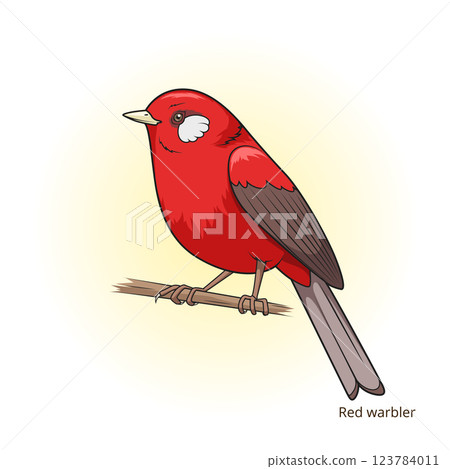 Red warbler bird educational game vector 123784011