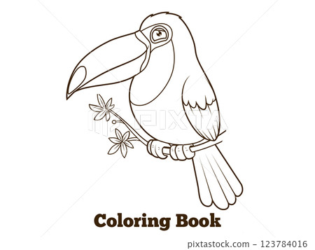 Toucan bird cartoon coloring book vector Toucan bird cartoon coloring book vector 123784016
