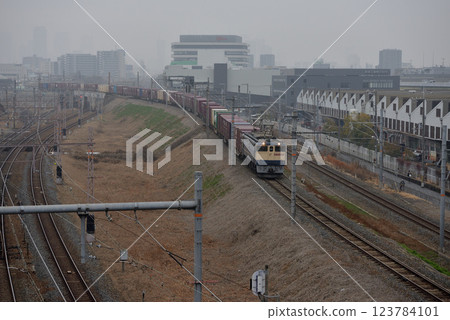 EF652085次貨櫃貨運列車運行於北方貨運線 123784101