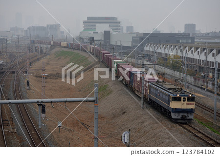 EF652085次貨櫃貨運列車運行於北方貨運線 EF652085次貨櫃貨運列車運行於北方貨運線 123784102