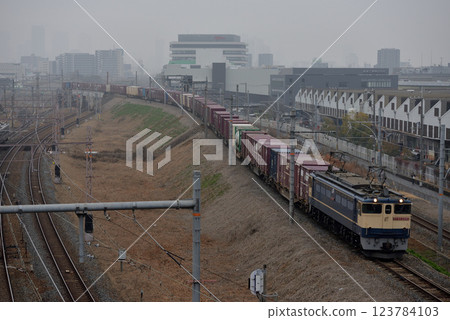 EF652085次貨櫃貨運列車運行於北方貨運線 123784103