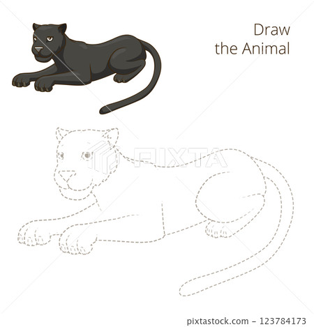 Draw the animal panther educational game vector Draw the animal panther educational game vector 123784173