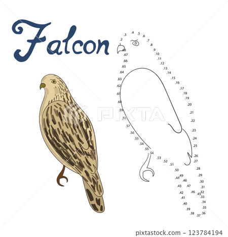Educational game connect dots draw falcon bird Educational game connect dots draw falcon bird 123784194