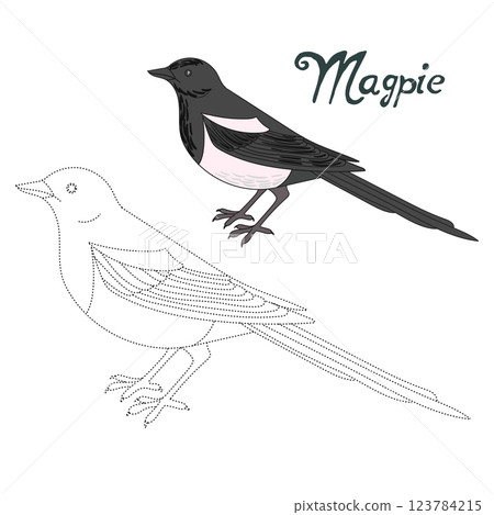 Educational game connect dots to draw magpie bird Educational game connect dots to draw magpie bird 123784215