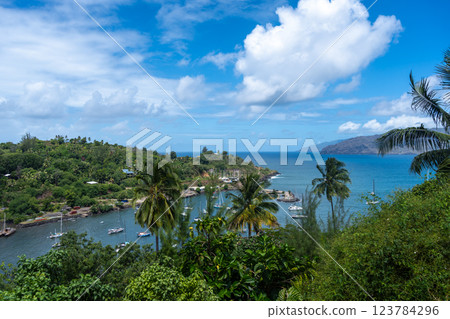 Atuona Bay in Hiva Oa, Marquesas Islands, French Polynesia 123784296
