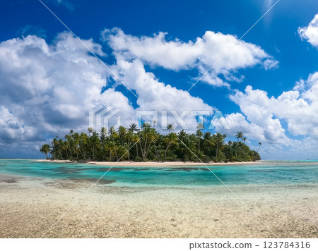 Idyllic motu on Tikehau Atoll, French Polynesia, surrounded by turquoise waters Idyllic motu on Tikehau Atoll, French Polynesia, surrounded by turquoise waters 123784316