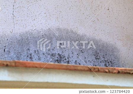 房屋牆體破損 123784420