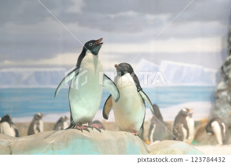 Popular Penguins 123784432