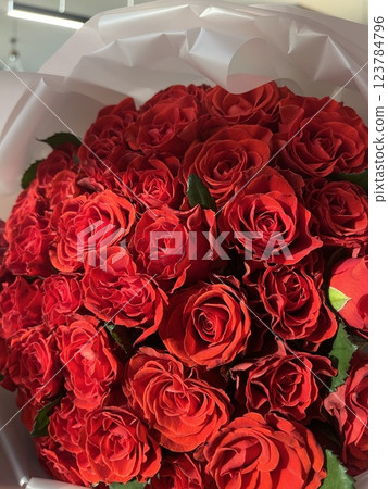 Woman holding luxury bouquet of fresh red roses on light background, closeup Natural background 123784796