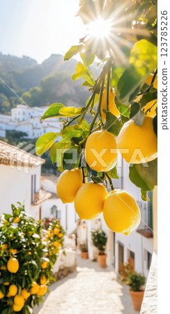 picturesque Mediterranean village street lined with lemon trees under warm sunlight 123785226