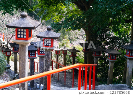 和歌浦天滿宮的參道 123785668