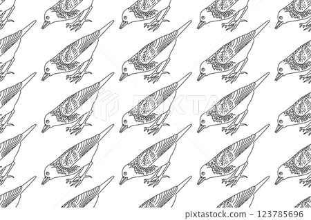 Line art seamless pattern with garden birds vector illustration. Hand drawn outline repeating pattern common starling background. Graphic design for Cover Coloring Book Textile Fashion Print Birthday Line art seamless pattern with garden birds vector illustration. Hand drawn outline repeating pattern common starling background. Graphic design for Cover Coloring Book Textile Fashion Print Birthday 123785696