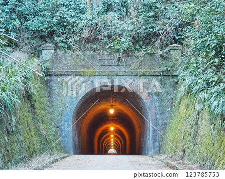 靜岡縣，宇都谷隧道（明治隧道），3月 123785753