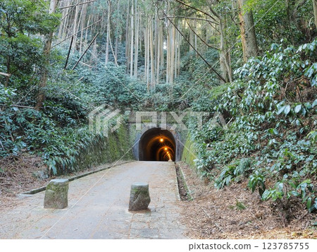 Shizuoka Prefecture, Utsunotani Tunnel (Meiji Tunnel), March 123785755