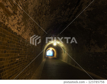 Shizuoka Prefecture, Utsunotani Tunnel (Meiji Tunnel), March 123785756