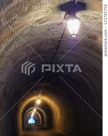 Shizuoka Prefecture, Utsunotani Tunnel (Meiji Tunnel), March 123785758