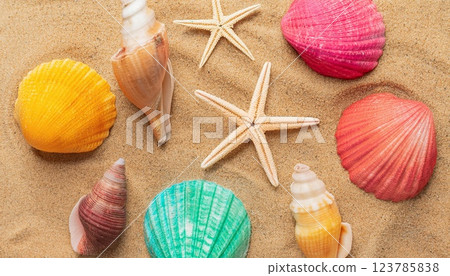 Colorful shells and sandy beach 123785838