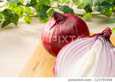 Red onion 123785906