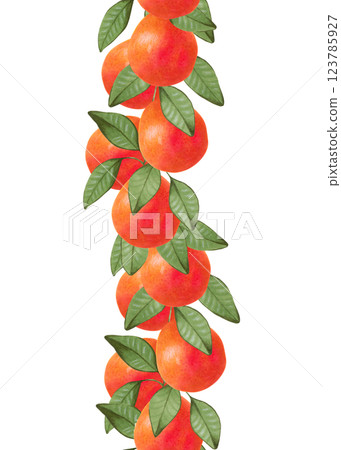 Citrus grapefruit on branches. Seamless vertical frame of fruit. Whole and slices of orange with leaves. Watercolor, marker illustration. Hand drawn isolated art. Botanical border for food packaging. 123785927