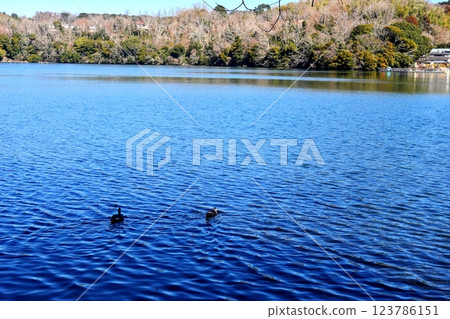 一碧湖初春清涼景色 一碧湖初春清涼景色 123786151