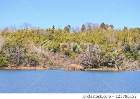 一碧湖初春清涼景色 123786152