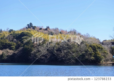 一碧湖初春清涼景色 一碧湖初春清涼景色 123786153