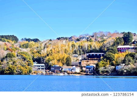 Cold early spring scenery of Lake Ippeki 123786154