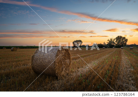 Round bales of straw on stubble field and sunset sky 123786164