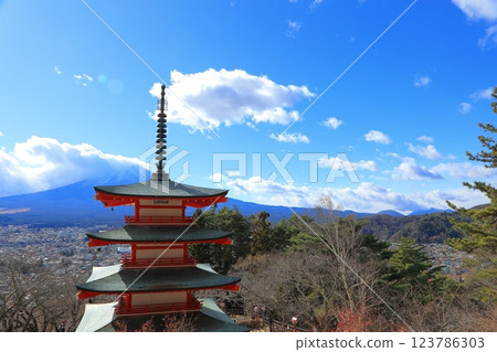 View of Chureito Pagoda and Mt. Fuji from Arakurayama Sengen Shrine in Yamanashi Prefecture Winter 2024 View of Chureito Pagoda and Mt. Fuji from Arakurayama Sengen Shrine in Yamanashi Prefecture Winter 2024 123786303
