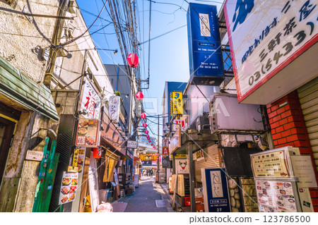 Tokyo cityscape in Japan, overlooking the bar area "Suzuran-dori" near Sangenjaya station 123786500