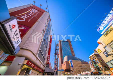 Tokyo cityscape, Japan, overlooking Sangenjaya Station and Carrot Tower Tokyo cityscape, Japan, overlooking Sangenjaya Station and Carrot Tower 123786626