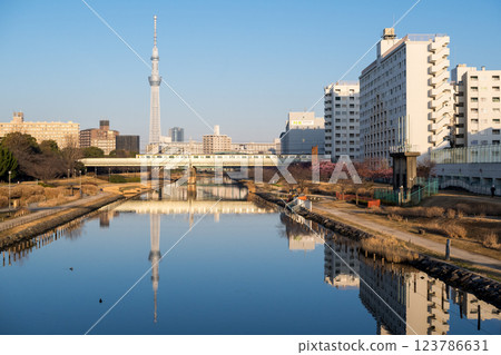 [Kawazu Sakura] Early-blooming cherry blossoms and a train at the Kyu-Nakagawa River in the early morning 123786631