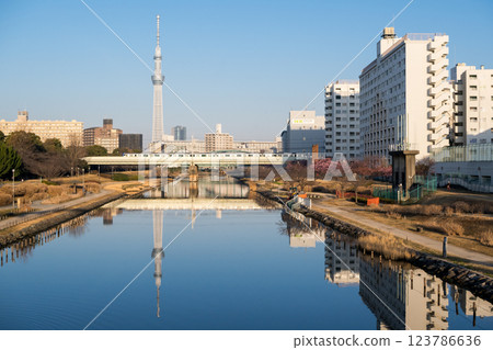 [Kawazu Sakura] Early-blooming cherry blossoms and a train at the Kyu-Nakagawa River in the early morning 123786636