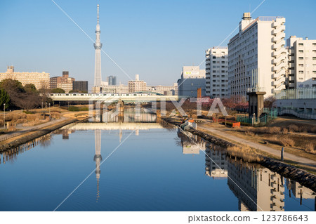 [Kawazu Sakura] Early-blooming cherry blossoms and a train at the Kyu-Nakagawa River in the early morning 123786643
