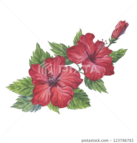 Watercolor composition of hibiscus branch with red flowers and green leaves 123786781