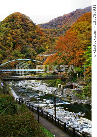 Kinshu's Kawaji Onsen Village... The view of the Ojika River from the window of a hot spring inn 123786931