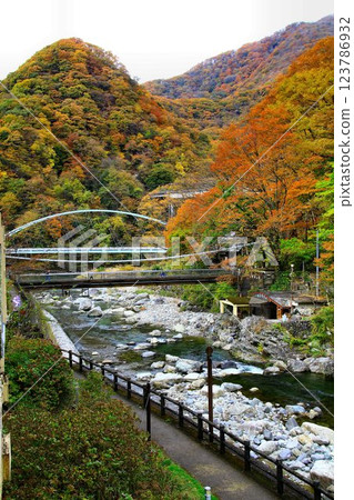 Kinshu's Kawaji Onsen Village... The view of the Ojika River from the window of a hot spring inn Kinshu's Kawaji Onsen Village... The view of the Ojika River from the window of a hot spring inn 123786932