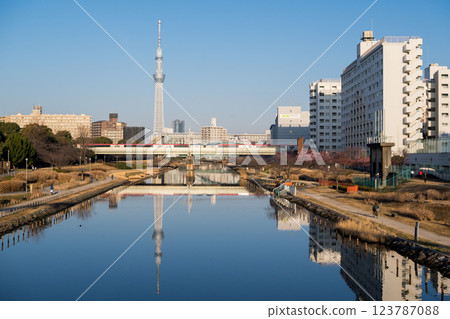 【河津櫻花】清晨的舊中川沿岸早開的櫻花和成田特快列車 【河津櫻花】清晨的舊中川沿岸早開的櫻花和成田特快列車 123787088