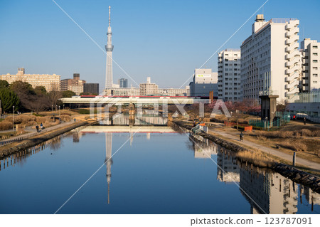 [Kawazu Sakura] Early-blooming cherry blossoms along the Kyu-Nakagawa River in the early morning and the Narita Express 123787091