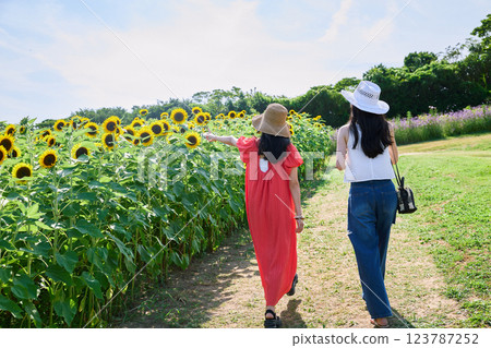 向日葵領域和婦女 向日葵領域和婦女 123787252