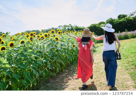 向日葵領域和婦女 向日葵領域和婦女 123787254