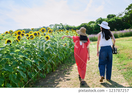 向日葵領域和婦女 向日葵領域和婦女 123787257